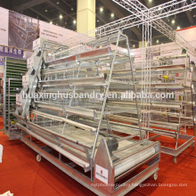 High quality hot sale chicken cage construction